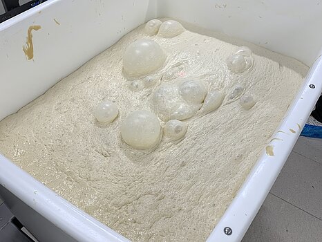 Behälter mit Pinsa-Teig